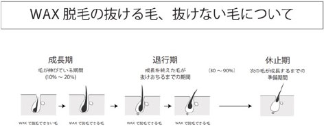 眉を立体的に魅せるWAX施術