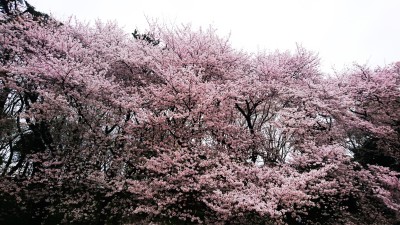 CYMERA_20160407_183145